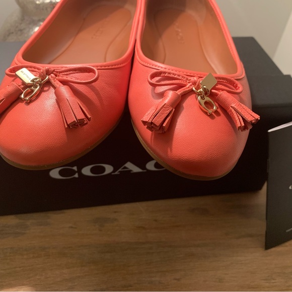 Brand new Coach flats - Picture 3 of 6